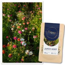 floxy Japán Kert - virágvetőmag-keverék