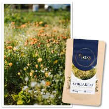 floxy Sziklakert - virágvetőmag-keverék