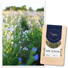 floxy Kék Tenger -virágvetőmag-keverék