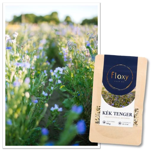 floxy Kék Tenger -virágvetőmag-keverék