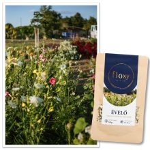 floxy Évelő - virágvetőmag-keverék