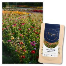 floxy Pillangók Oázisa - virágvetőmag-keverék