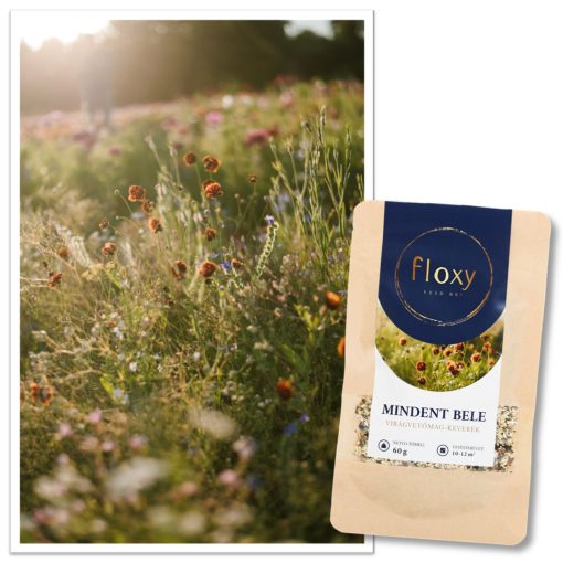 floxy Mindent bele - virágvetőmag-keverék